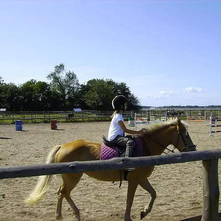 - Aurora Nad Morzem W Dziwnowku *