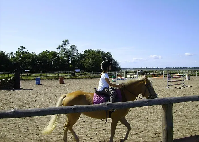 - Aurora Nad Morzem W Dziwnowku *