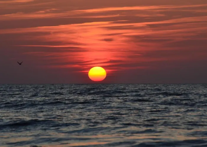 - Aurora Nad Morzem W Dziwnowku